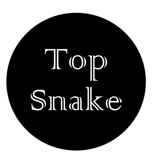 Top Snake logo