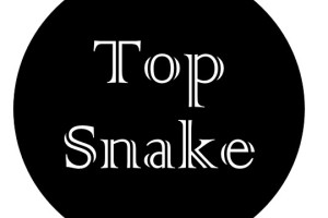 Top Snake
