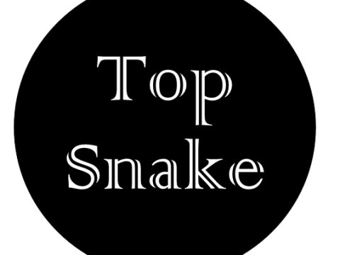 Top Snake logo