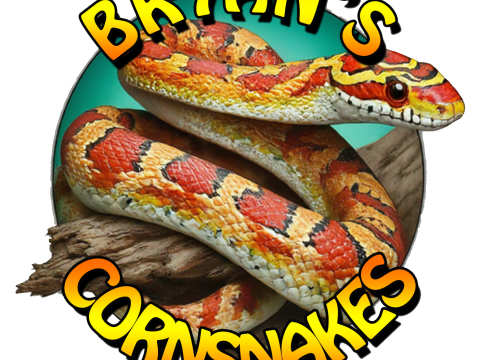 Bryan's Cornsnakes & Exotics logo