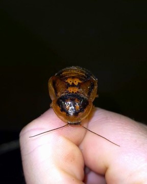 Feeders For Africa photo 2