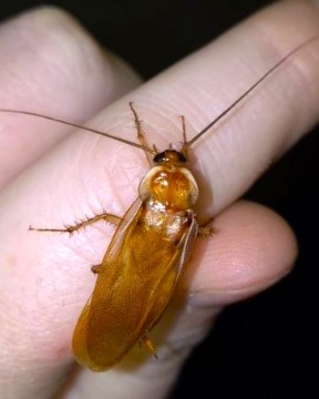 Feeders For Africa photo 8