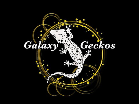 Galaxy Geckos Za logo