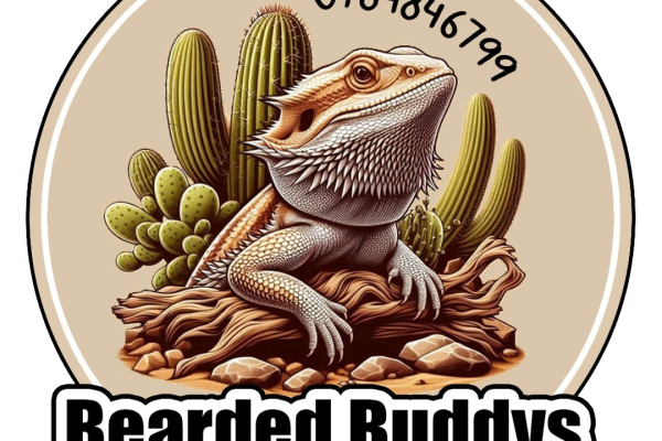 Bearded Buddys