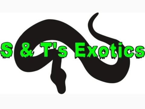 S & T's Exotics logo