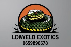 Lowveld Exotics