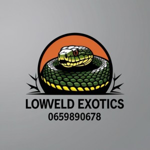 Lowveld Exotics logo