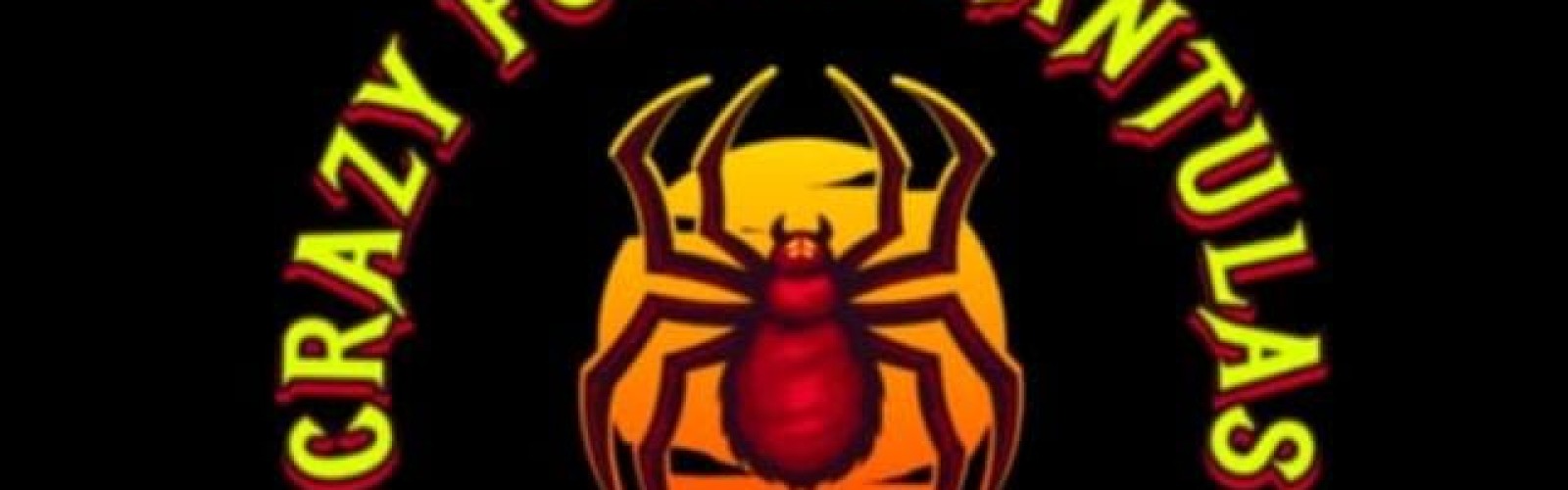 Crazy For Tarantulas cover