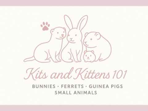 Kits and Kittens 101 logo