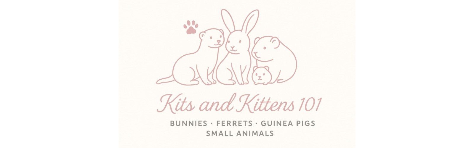 Kits and Kittens 101 cover