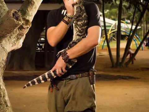 Predator Reptile and Animals photo 3