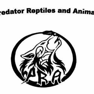 Predator Reptile and Animals logo
