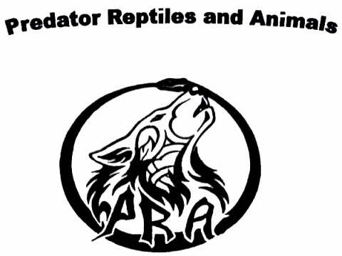 Predator Reptile and Animals logo