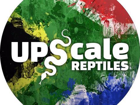 Upscale Reptiles logo