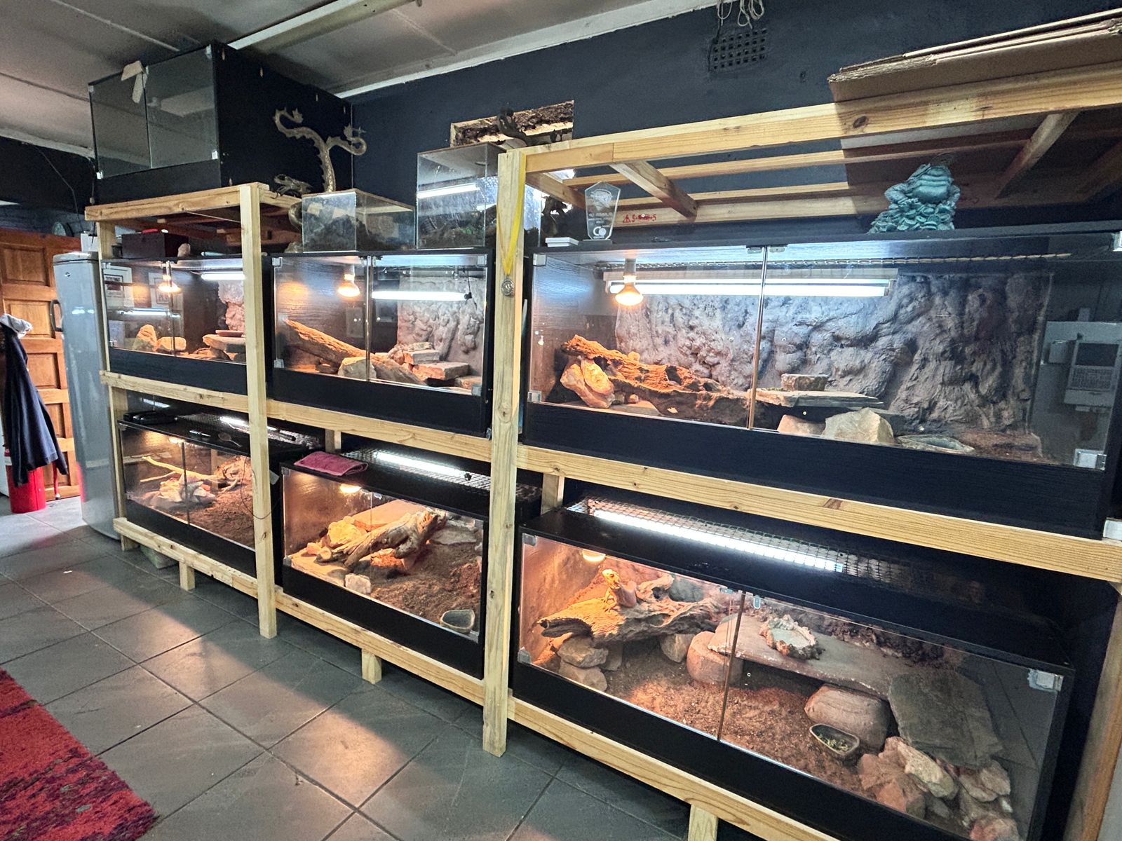 AlcheMystiQ DragonZ cover