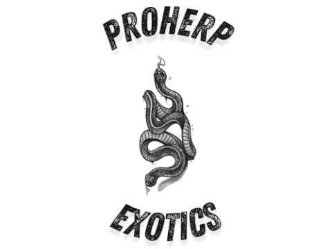 ProHerp Exotics logo
