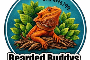 Bearded Buddys