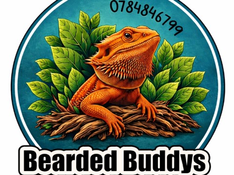 Bearded Buddys logo