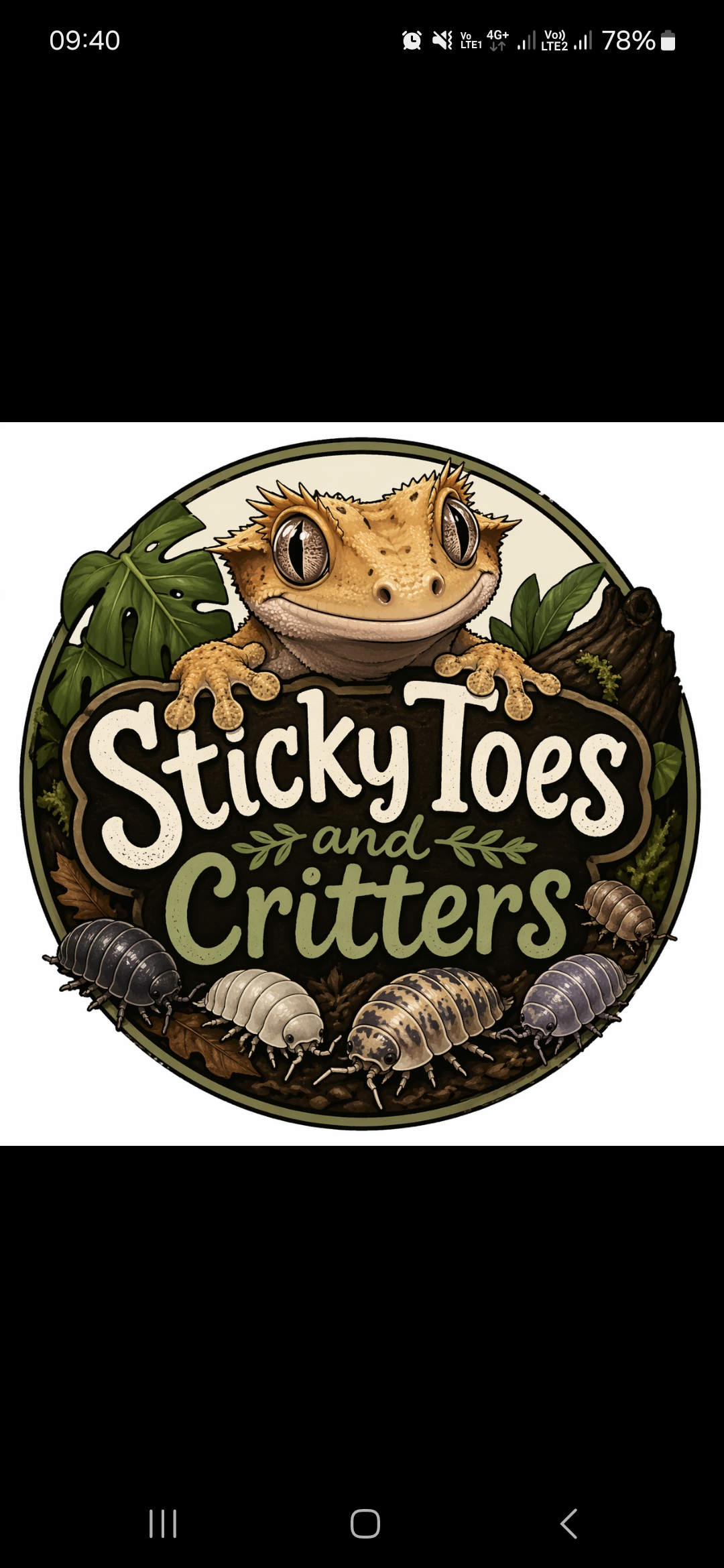 Sticky Toes and Critters cover