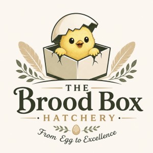 The Brood Box logo