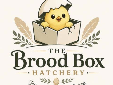 The Brood Box logo