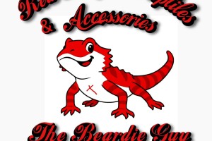 Andy The Beardie Guy at Red Dragon Reptiles