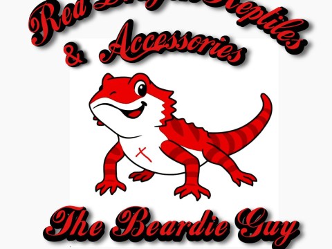 Andy The Beardie Guy at Red Dragon Reptiles logo