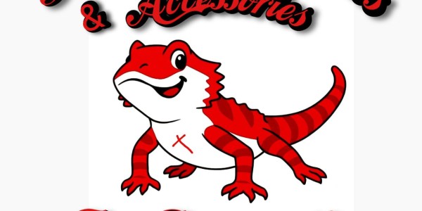 Andy The Beardie Guy at Red Dragon Reptiles