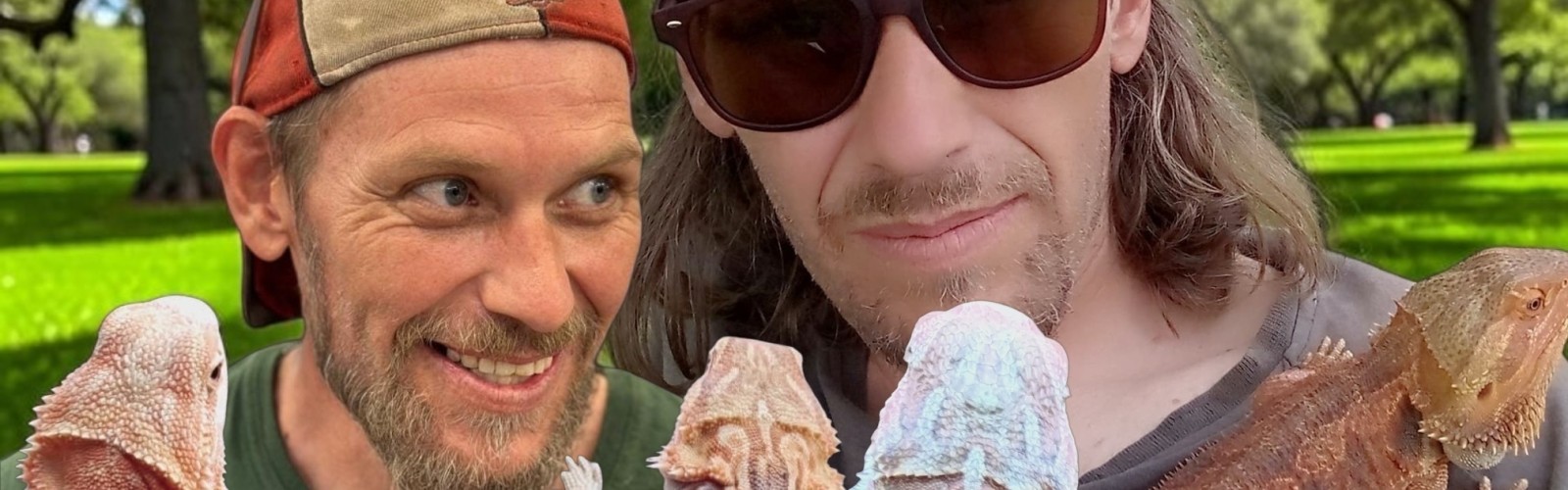 Andy The Beardie Guy at Red Dragon Reptiles cover