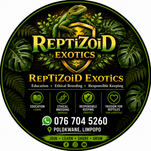 RepTiZoiD Exotics logo