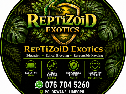 RepTiZoiD Exotics logo