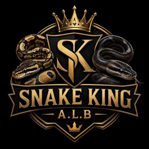 Aiden logo